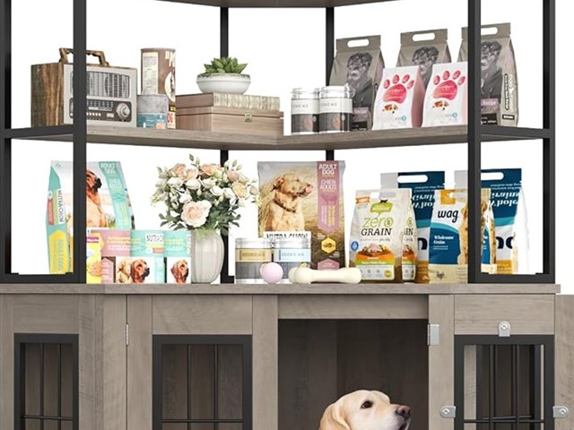 Pet Furniture